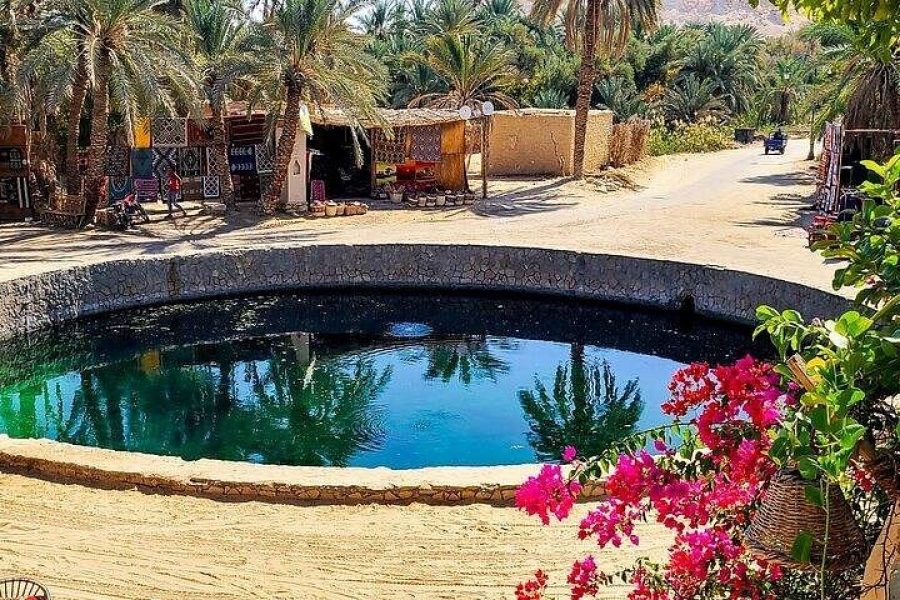 2-Day Siwa Oasis