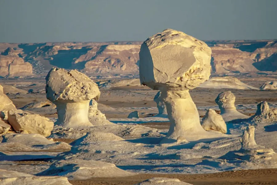 White Desert and Bahariya Oasis
