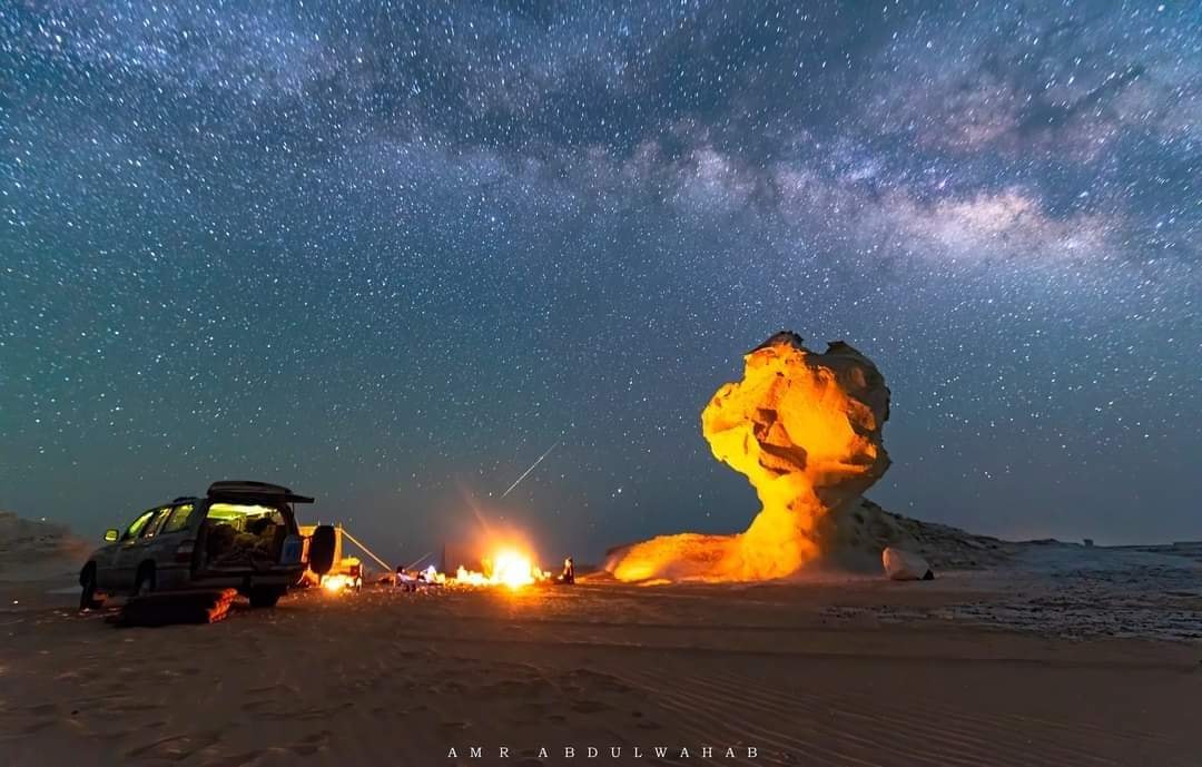 oases.ahmedsamir.tech